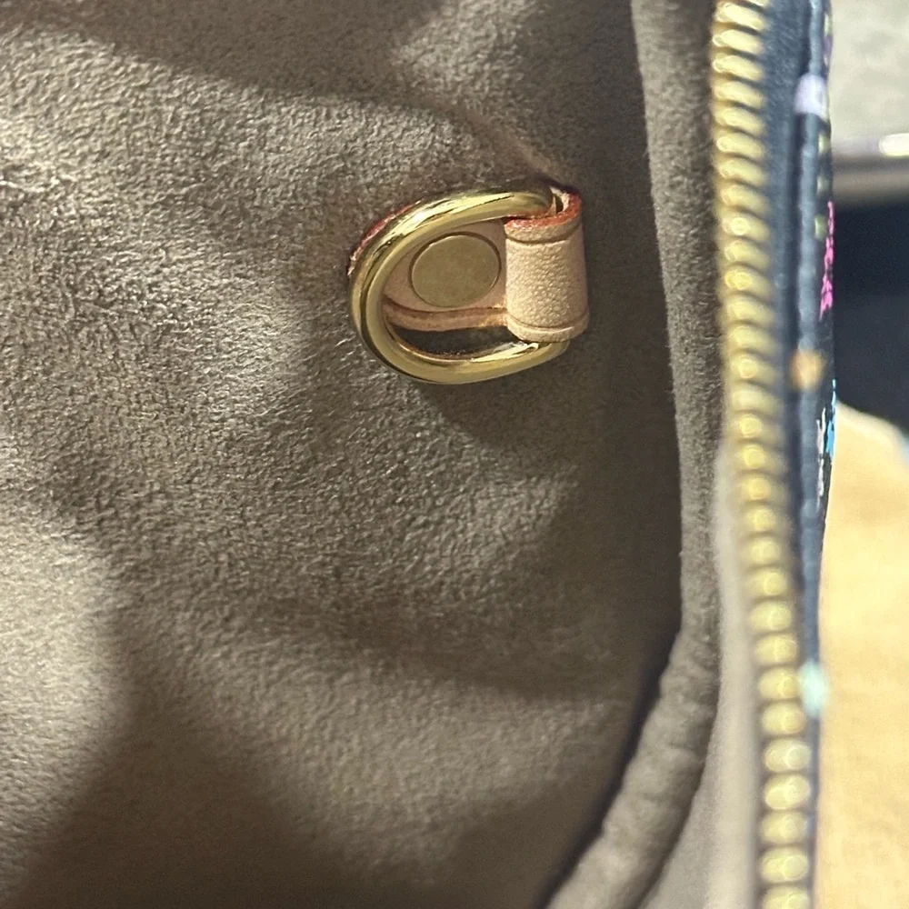Louis Vuitton Multi Color Pouch‎ Small
